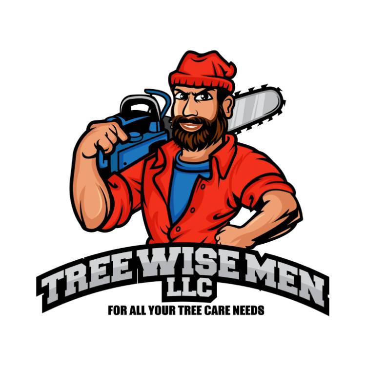 Tree Wise Men LLC